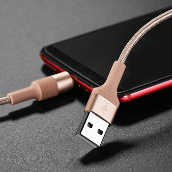 Кабель Borofone BX21 Outstanding, USB - USB Type-C, 1 м, золотой