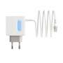 Зарядное устройство BOROFONE BA34 Power essence 2*USB, 2.4A, белый, кабель Type-C